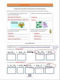 Some of the worksheets displayed are work multiple allele crosses 2009, incomplete and codominance work name, genetics work, genetics of blood types cloze work, amoeba sisters video recap. Photosynthesis And Cellular Respiration Biology Organisms