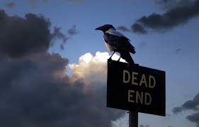 Wallpaper Background The Inscription Crow Images For Desktop Section Raznoe Download Find & download free graphic resources for crow. wallpaper background the inscription