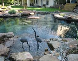 Pool Design In Frederick Md Va And Wv Poole S Stone Garden Natural Swimming Pools Natural Swimming Ponds Swimming Pond