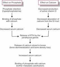 Hesi Case Studies Case Study Medical Coding Renal Failure