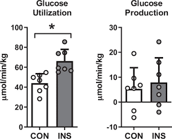 Effects Of Chronic Hyperinsulinemia On Metabolic Pathways And Insulin Signaling In The Fetal Liver American Journal Of Physiology Endocrinology And Metabolism High insulin levels in your blood can lead to many serious health problems.