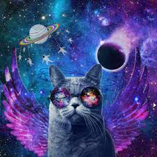 Elegant cat with large tail. Galaxy Cat Image By Jasmine Monchalin