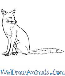 How To Draw A Realistic Fox