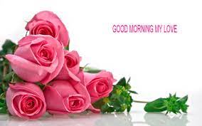 Good Morning Rose Wallpapers Free Download Rose Flower Wallpaper Pink Rose Bouquet Flower Wallpaper