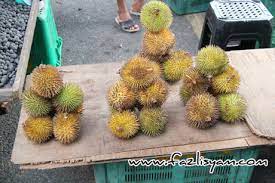 Sangat sesuai untuk datang bersantai mencari ketenangan. Harga Buah Buahan Di Malaysia Alsalaman