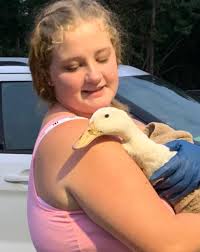 How long should I give it before I try to rehome my female duck to find her  flock?