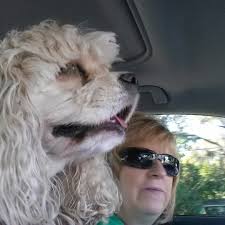 Temple Terrace Animal and Bird Hospital