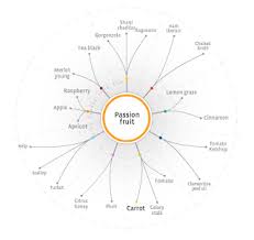Pin On Food Pairing Tree