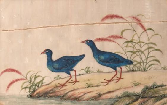 Roseberys London | Five Chinese gouache paintings on rice paper, late 19th