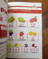 Buku han yu (banyak digunakan sebagai bahan belajar di negara asia) primary 1 (sd1) primary 2. Buku Kuasai Bahasa Mandarin Untuk Si Cilik