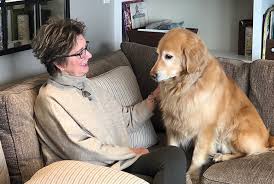 Most intestinal tumors are malignant. A Continuum Of Care Living With Colorectal Cancer