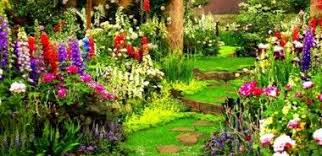 122 Bilder Zur Gartengestaltung Stilvolle Gartenideen Fur Sie Garten Bepflanzen Garten Trittsteine Garten