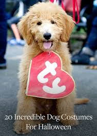 20 Ways To Dress Up Your Dog This Halloween Halloween Costume Ideas For Your F Dog Halloween Costumes Funny Dog Halloween Costumes Best Dog Halloween Costumes