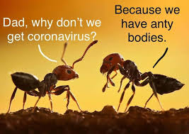 Anty Bodies Memes 200 x 202 png 13 kb. anty bodies memes