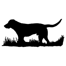 Pin On Labrador Retriever