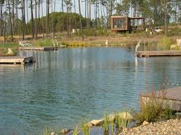 Landscape Architecture Claudia Schwarzer From Bio Piscinas Gives Us A Detailed Account Of Her O Natural Swimming Ponds Natural Swimming Pools Swimming Pools