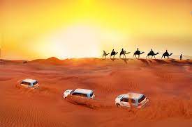 Trek through the dubai deserts on an unforgettable safari atop one of our majestic camels. Quads Sand Surfing Camel Ride Dinner Show Review Of Oceanair Travels Dubai United Arab Emirates Tripadvisor