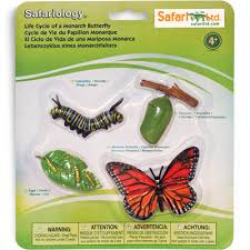 Download Questacon The National Science And Technology Centre Safari Life Cycle Of A Butterfly