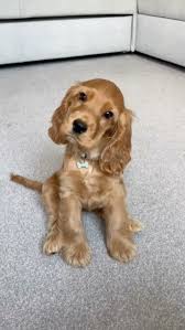 Great Photography! 💝