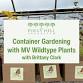 Container Gardening with MV Wildtype Plants
