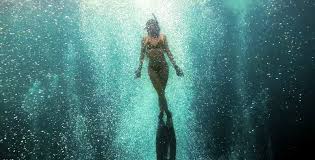 Image result for who can teach the padi skin diver course