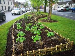 Maybe you would like to learn more about one of these? Pollinator Friendly Plants For Containers Greenside Up