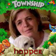 what comes after pig decoration in farmville?