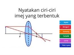 Penglihatan adalah indra yang paling penting untuk burung, karena penglihatan yang baik bersifat sangat menentukan bagi penerbangan yang aman, dan kelompok burung memiliki sejumlah adaptasi yang memberikan keunggulan visual dari kelompok vertebrata lainnya. Cahaya Dan Optik Sumber Pengajaran