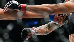 UFC Vegas 118: Priscila Cachoeira vs. Chelsea Chandler Predictions & Odds