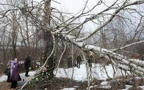 Image result for zdjecie satelitarne smolenska