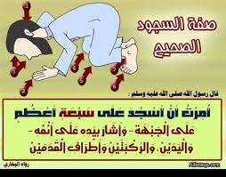 الأعضــاء السبعــة التــي أمرنـــا ص ـــل اح الأ مـ ـــــة ب اتبـ ــاع الس نـ ـــــة Facebook