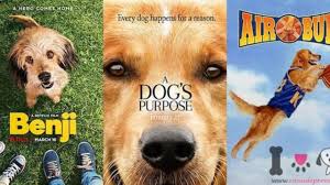 40 Nombres De Perros De Peliculas Actualizado 2021