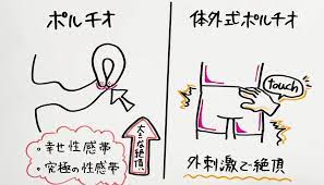 セクテクサイト
