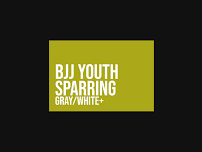 BJJ Youth Sparring
