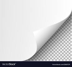 Page Curl With Shadow On Blank Sheet Paper Vector Image Affiliate Shadow Blank Background Design Vector Beard Vector Social Media Graphics Inspiration