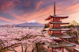 Why Now Is The Best Time To Visit Japan Japan Travel Photography Best Countries To Visit Japan Travel