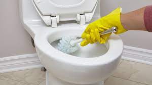 Da die ritter aber meist unter ihren ritterrüstungen nicht zu erkennen waren, verzierten sie ihre schilde mit ihren familienwappen oder mustern. Service Video So Haufig Solltet Ihr Eure Toilette Putzen Brigitte De