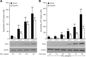 We did not find results for: Up Regulation And Sustained Activation Of Stat1 Are Essential For Interferon G Ifn G Induced Dual Oxidase 2 Duox2 And Dual Oxidase A2 Duoxa2 Expression In Human Pancreatic Cancer Cell Lines Journal Of Biological Chemistry
