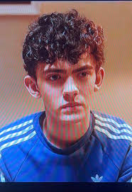 His cousins and grandpa or whoever that is crazy for saying that is the  most triggering thing to hear and what does he mean? We’re glad you’re back  to normal 😕 #CHARLIESPRING #NICKNELSON ...