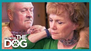 God hundetrening 🐕👍 bort med strup, pigg og e- halsbånd, inn med positiv  hundetrening. Anbefaler å se hele episoden.