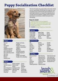 Obedience Training At Home Dogtraininghouston 4193108525 Puppytraining101 Puppy Socialization Dog Training Obedience Service Dog Training