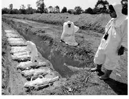 Temporary burial of dead bodies in parallel trench graves: Thailand... |  Download Scientific Diagram