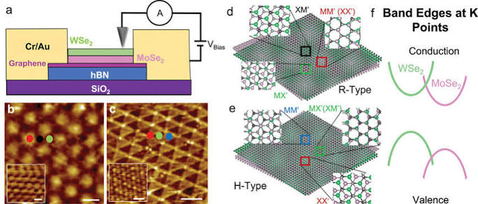 Experimental setup and structure of twisted MoSe2/WSe2. (a) Schematic... | Download Scientific Diagram