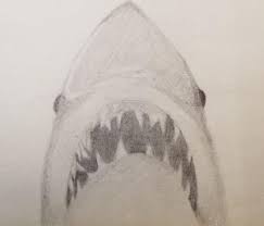 The Meg Falls Short Of Classic Thriller Jaws The Scribe When a killer shark unleashes chaos on a beach community, it's up to a local sheriff, a marine biologist, and an old seafarer to hunt the beast down. more drew wills amps: the meg falls short of classic thriller