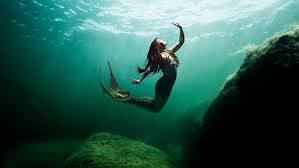 Image result for real mermaid