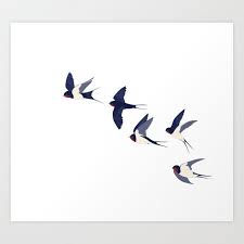 Art Print Of Flying Swallows Flying Bird Drawing Bird Illustration Bird Prints