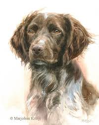 Dierportretten En Huisdieren Schilderijen In Opdracht Marjolein Kruijt Honden Schilderijen Honden Portretten Dieren Schilderen