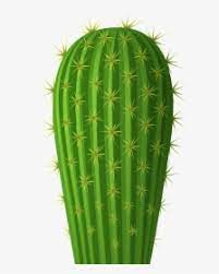 Download transparent cactus png for free on pngkey.com. Fiesta Mexican Cactus Clipart Hd Png Download Kindpng