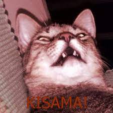 Learn how to form the different conjugations for 面白い (omoshiroi). Omoshiroi Memes Photos Facebook