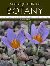 Image result for Alectra orobanchoides